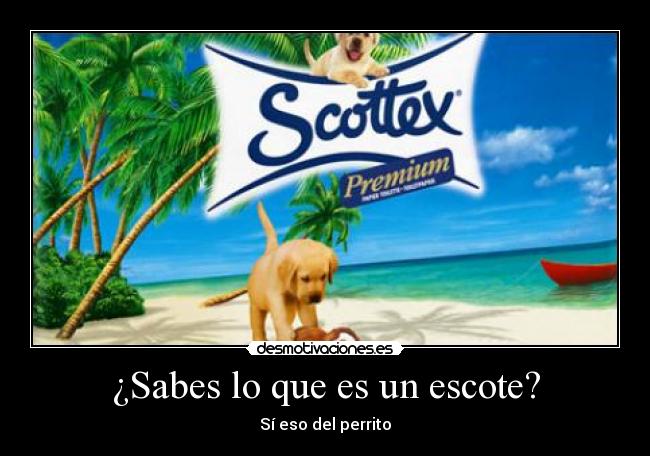 ¿Sabes lo que es un escote? - 