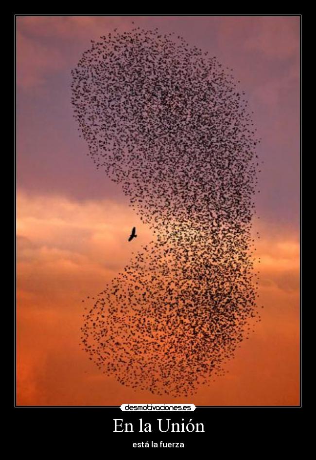 En la Unión -