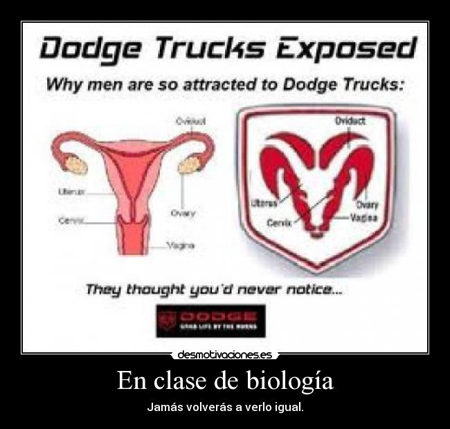 En clase de biología - 