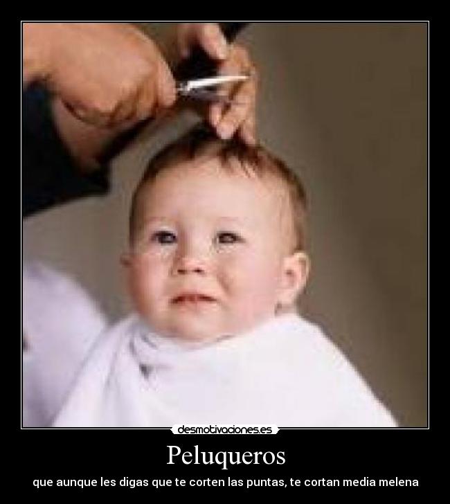 carteles pelos desmotivaciones