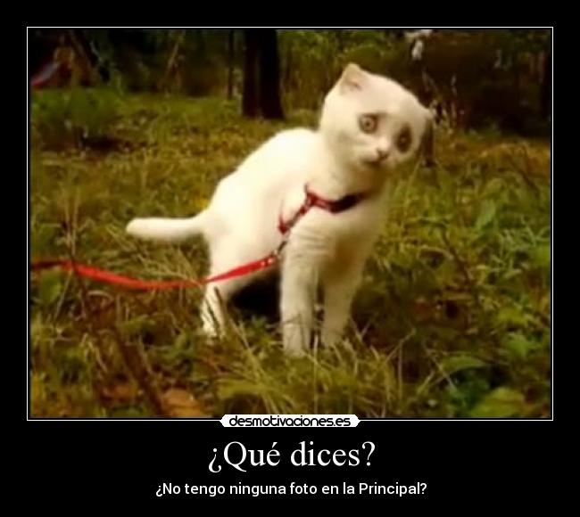 carteles por que desmotivaciones