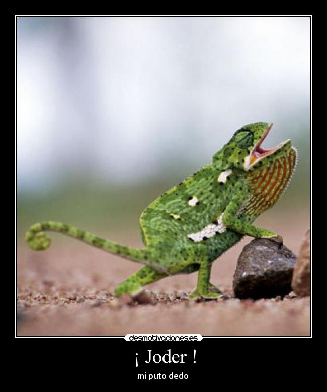 ¡ Joder ! -