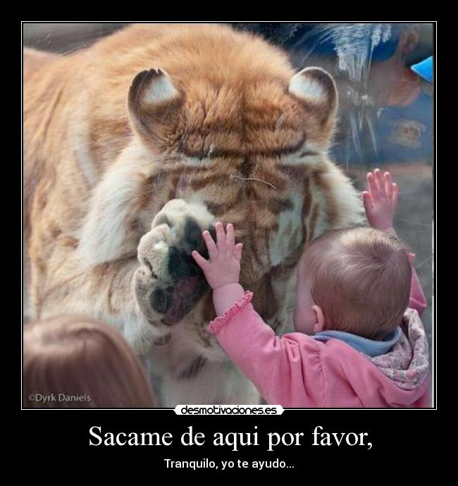 Sacame de aqui por favor, -