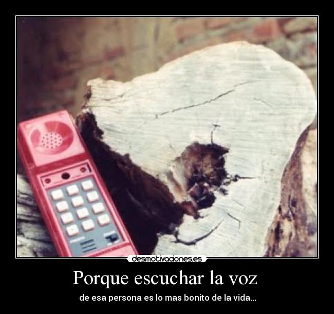 carteles asddasdas desmotivaciones