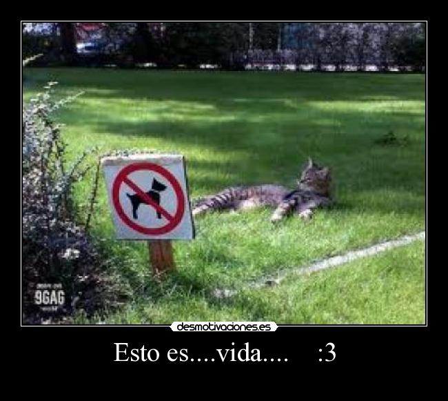 Esto es....vida.... :3 -