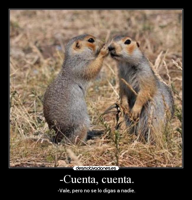 carteles ardillas desmotivaciones