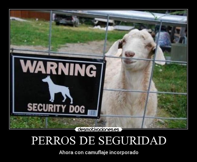 PERROS DE SEGURIDAD - Ahora con camuflaje incorporado