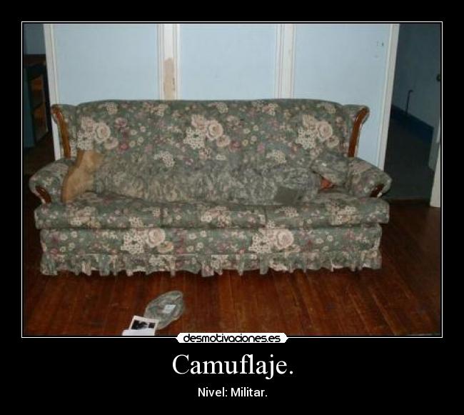 Camuflaje. -