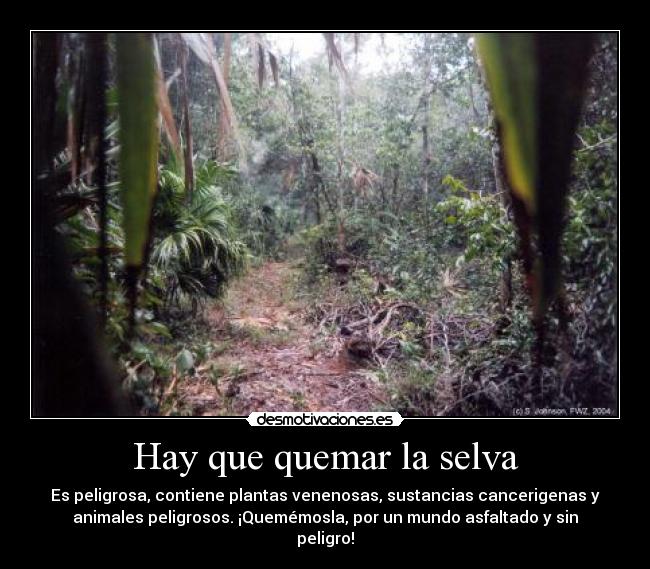 Hay que quemar la selva - Es peligrosa, contiene plantas venenosas, sustancias cancerigenas y
animales peligrosos. ¡Quemémosla, por un mundo asfaltado y sin
peligro!