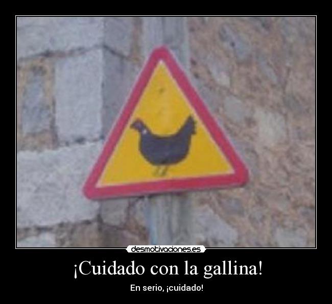 ¡Cuidado con la gallina! -