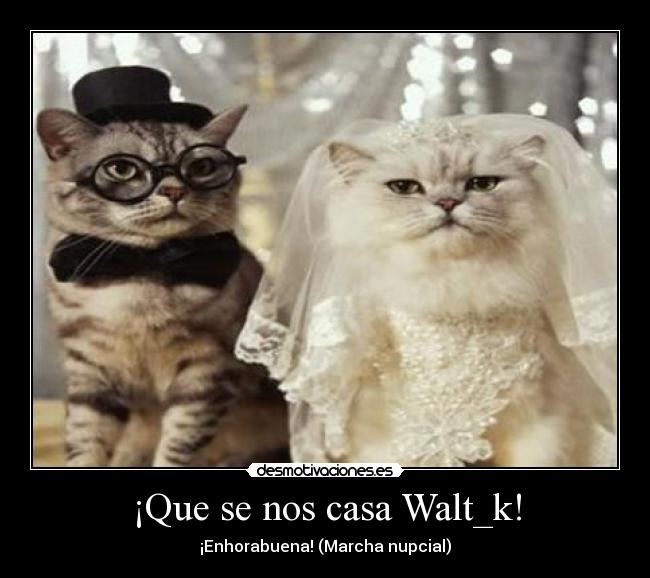 ¡Que se nos casa Walt_k! - ¡Enhorabuena! (Marcha nupcial)