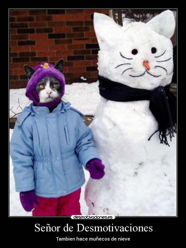 Señor de Desmotivaciones - Tambien hace muñecos de nieve