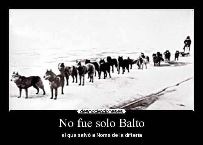 No fue solo Balto - 