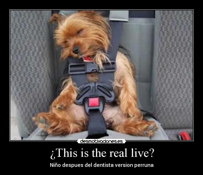 ¿This is the real live? - 