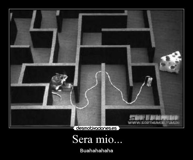 Sera mio... - Buahahahaha