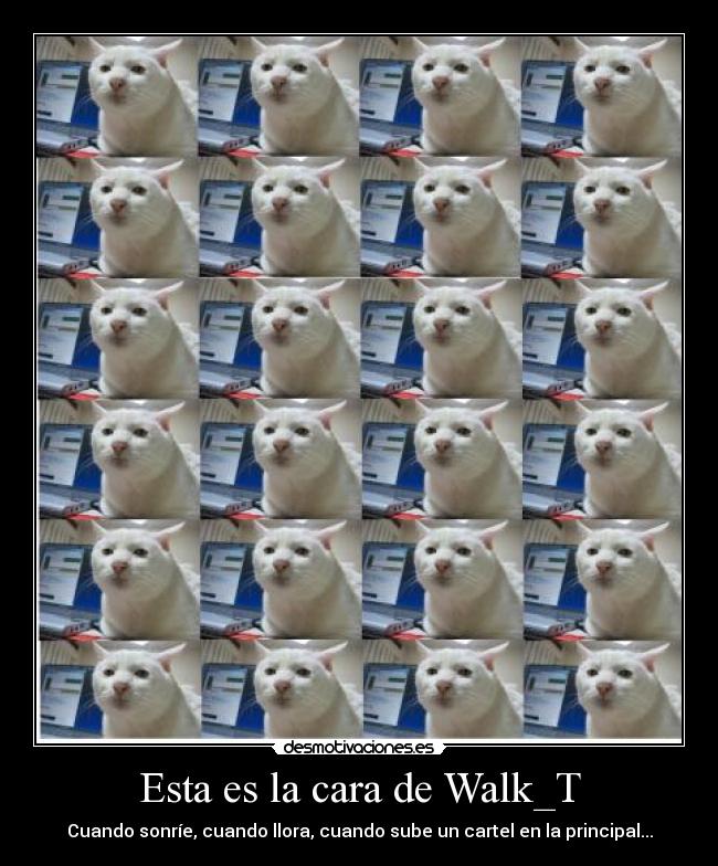 Esta es la cara de Walk_T -