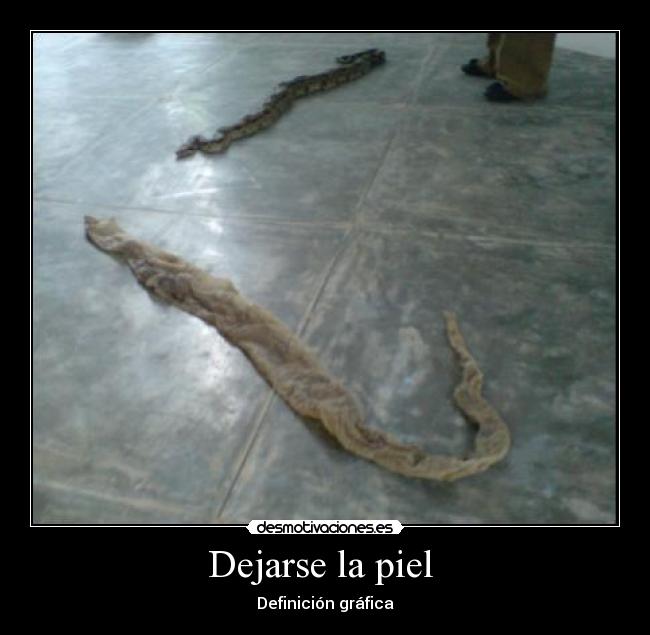 Dejarse la piel  - 