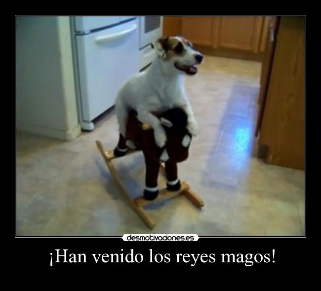 ¡Han venido los reyes magos! - 