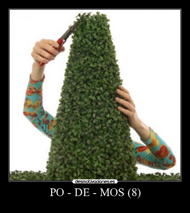 PO - DE - MOS (8) -