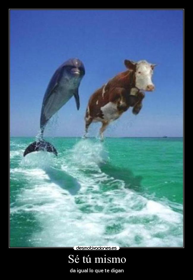 carteles se tu mismo desmotivaciones