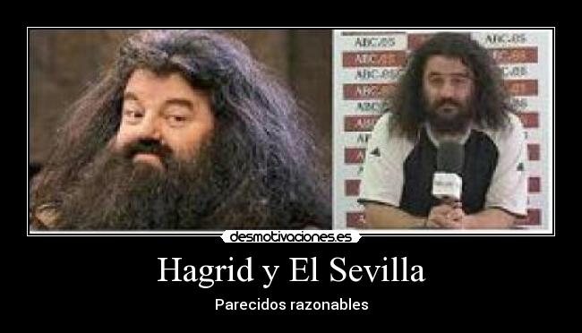 Hagrid y El Sevilla -