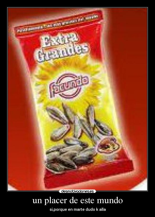 un placer de este mundo -