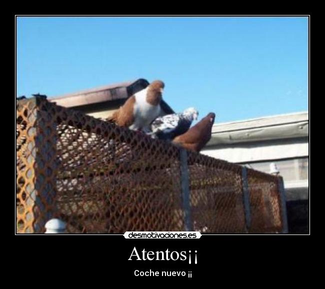 Atentos¡¡ - Coche nuevo ¡¡