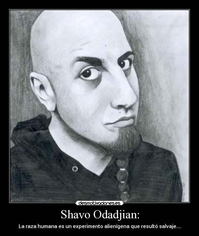 Shavo Odadjian: -