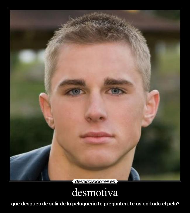 desmotiva - 
