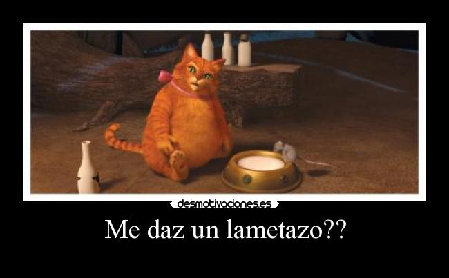 carteles gato desmotivaciones