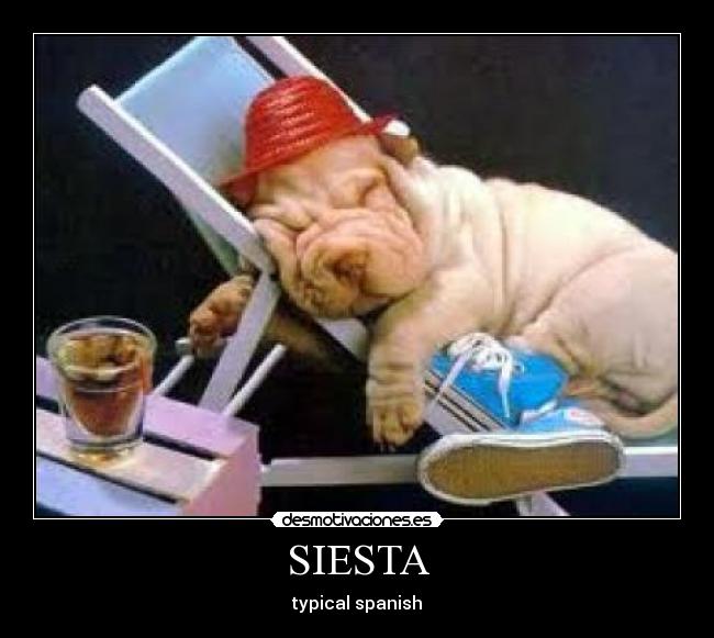 SIESTA -