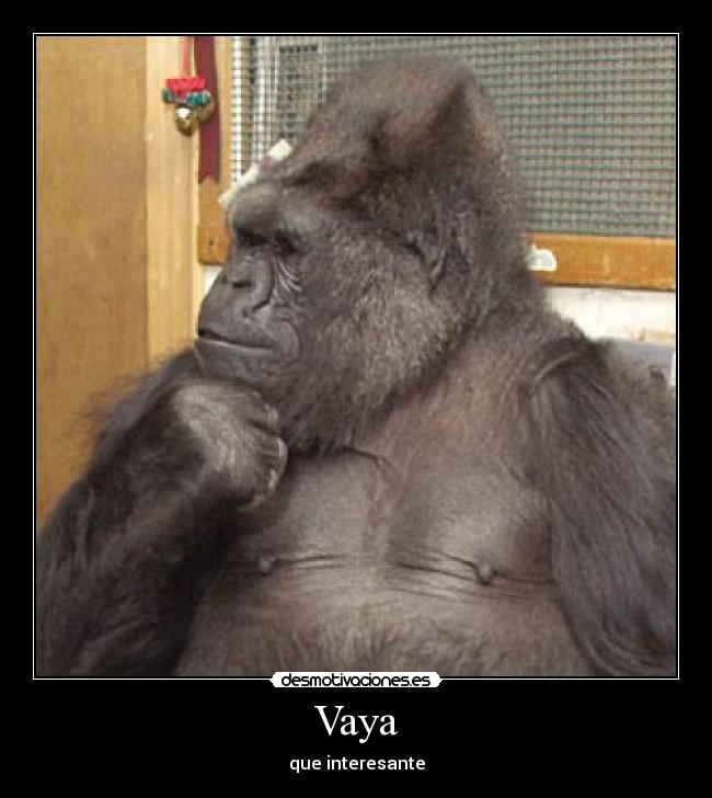 Vaya - que interesante