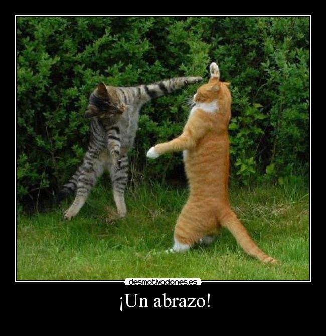 ¡Un abrazo! -