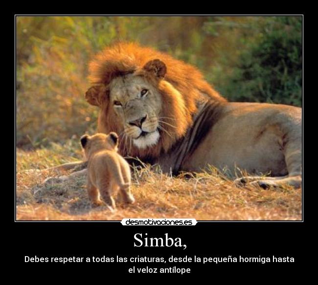carteles pipas desmotivaciones