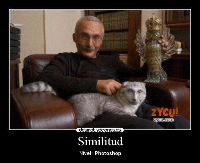 Similitud -