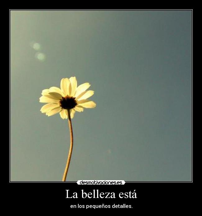 La belleza está -
