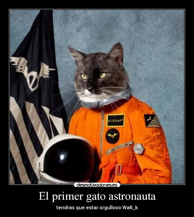 El primer gato astronauta - tendras que estar orgulloso Walt_k
