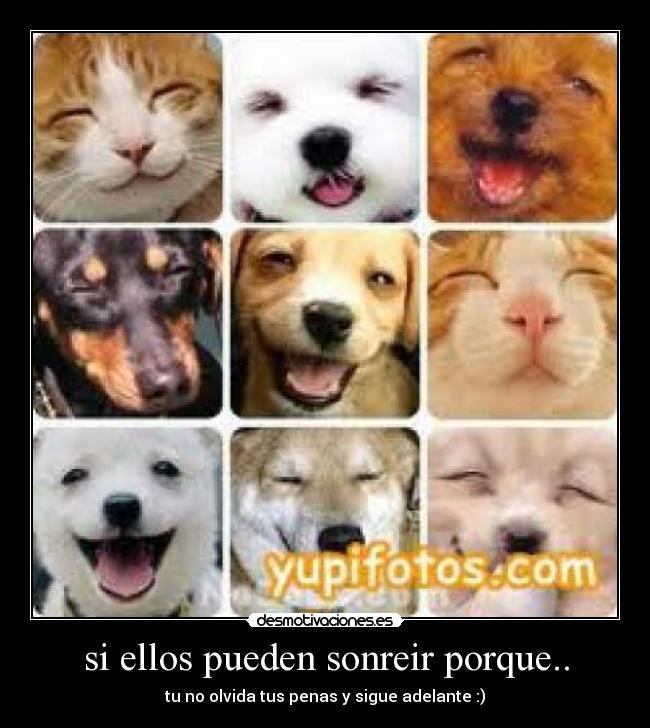 si ellos pueden sonreir porque.. -