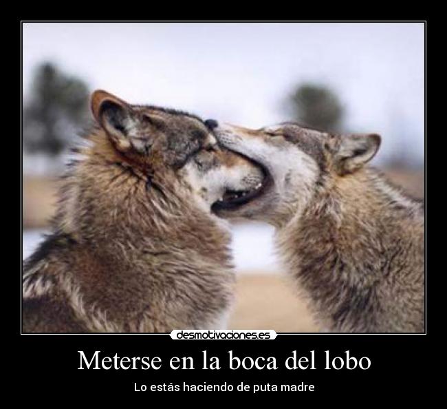 Meterse en la boca del lobo - 