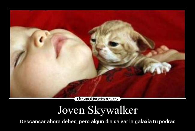 carteles descansar ahora debes pero algun diasalvar la galaxia tu podras skywalker desmotivaciones