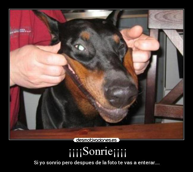 ¡¡¡¡Sonrie¡¡¡¡ -