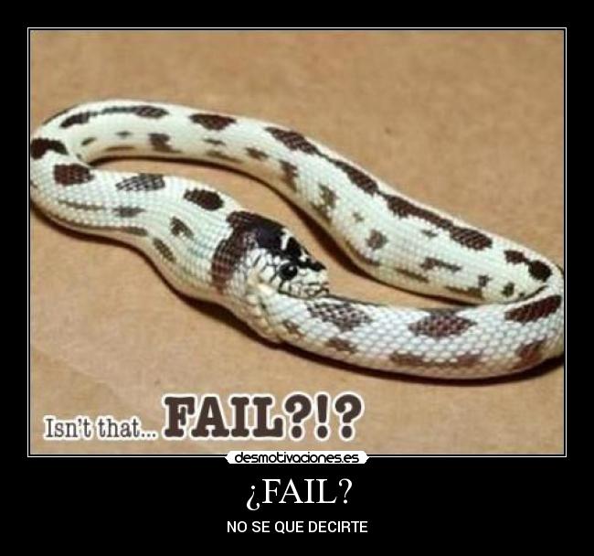 ¿FAIL? -
