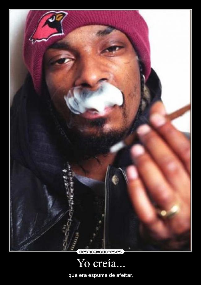 carteles snoop doggy dogg desmotivaciones