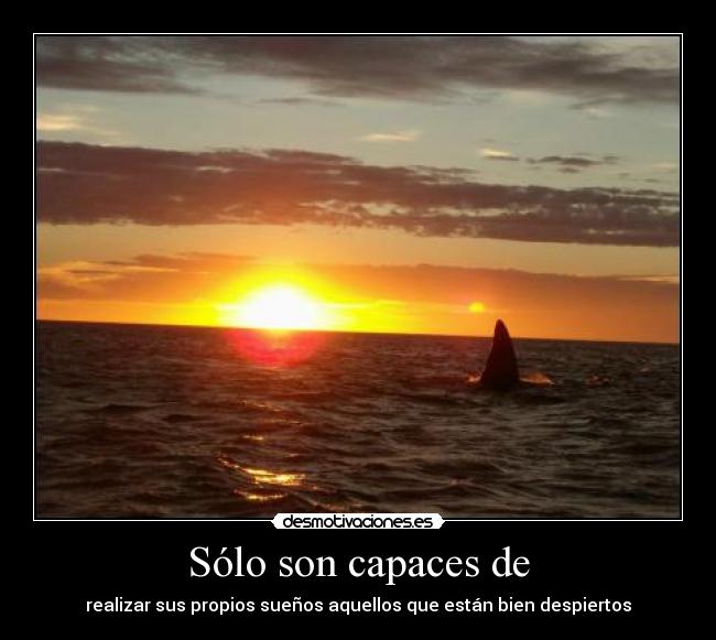 Sólo son capaces de -