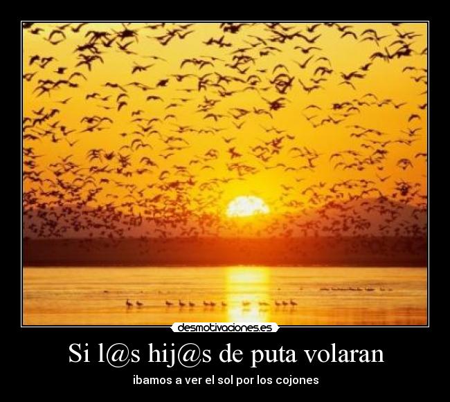 Si l@s hij@s de puta volaran - 