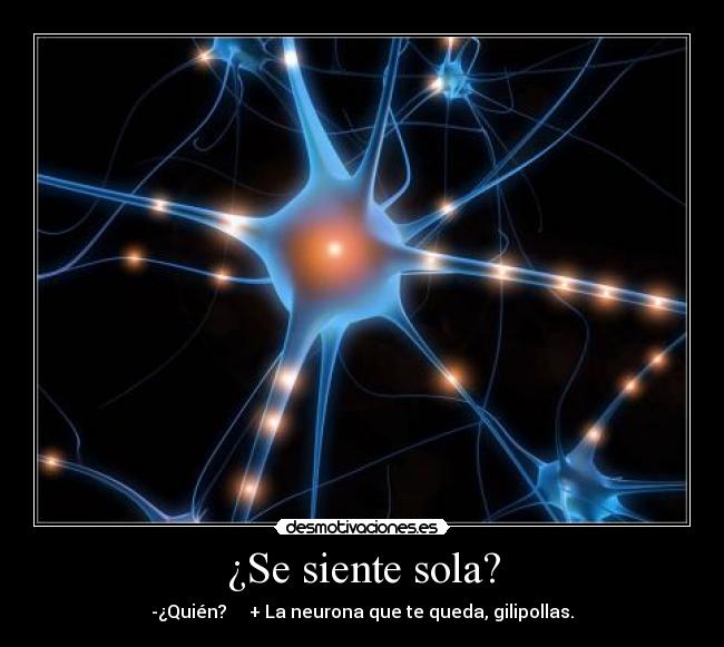 ¿Se siente sola? -