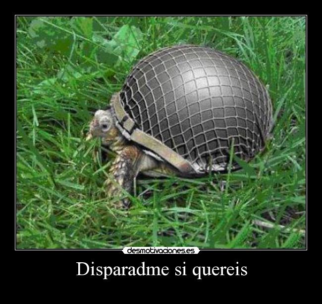 Disparadme si quereis - 