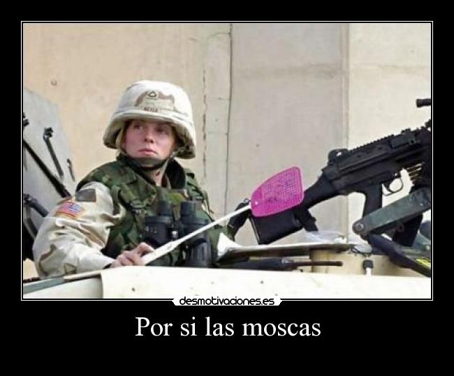 Por si las moscas -