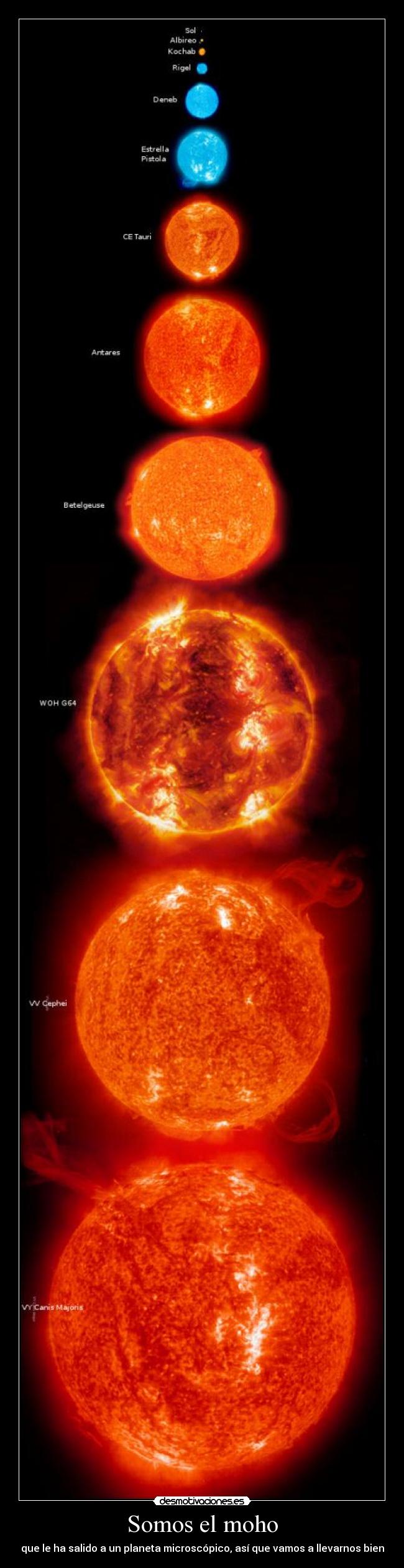 Somos el moho - que le ha salido a un planeta microscópico, así que vamos a llevarnos bien