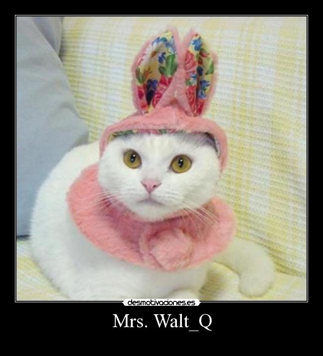 Mrs. Walt_Q -